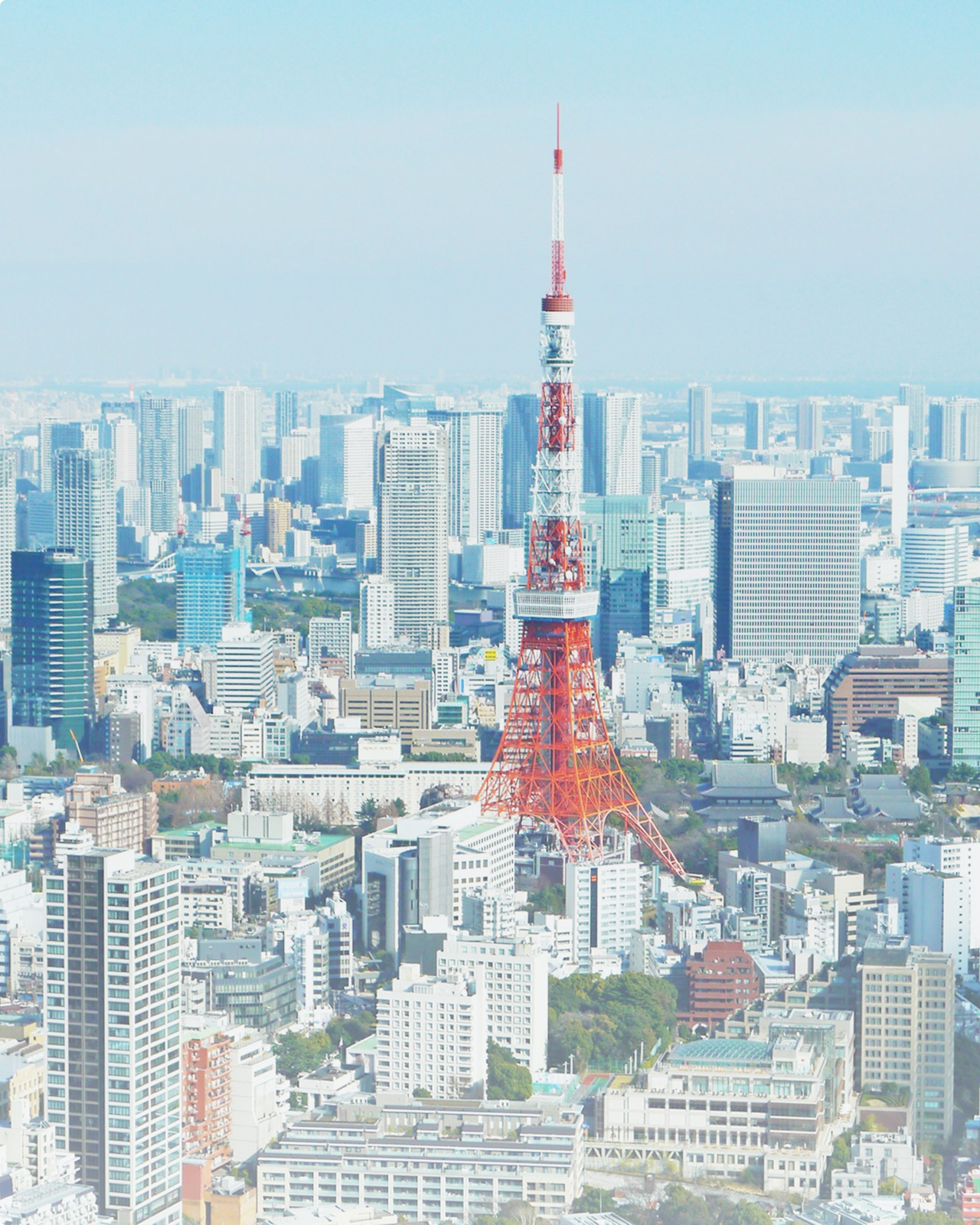 メッセージ画像